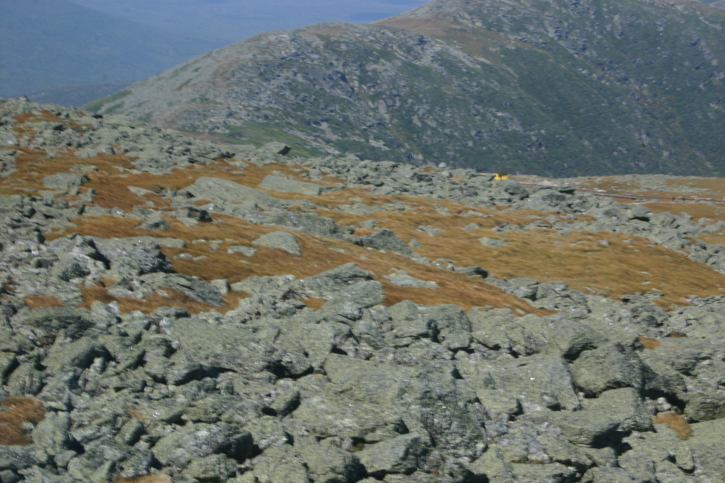 picture 20.
